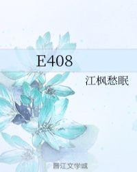 E408